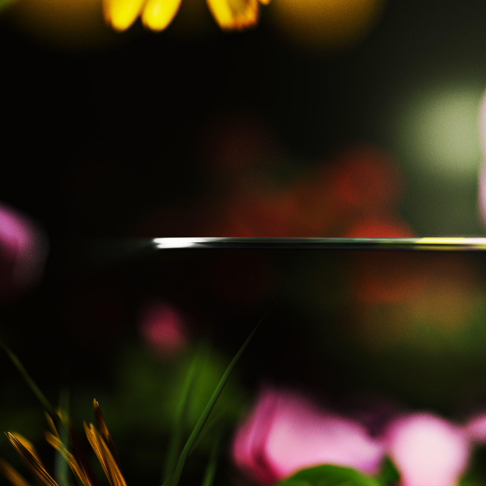 The Return (Glass Edition) by Midori