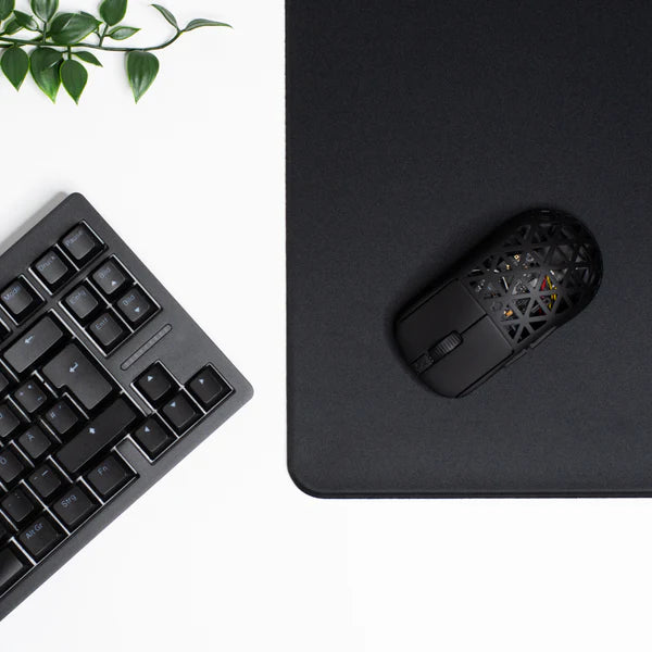 PMM S1P // QUANTUM EDITION